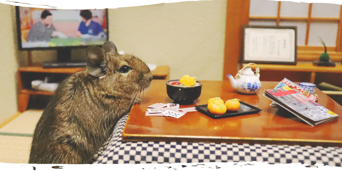 最寄り駅は南町田グランベリーパーク駅 小動物 ドール ぬい撮り フィギュア ジオラマ ミニチュア ドールハウスの撮影スタジオ 株式会社ミニチュアスタジオ